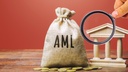Anti Money Laundering and the Financing of Terrorism According to the Requirements  Capital Markets Authority - Book 16