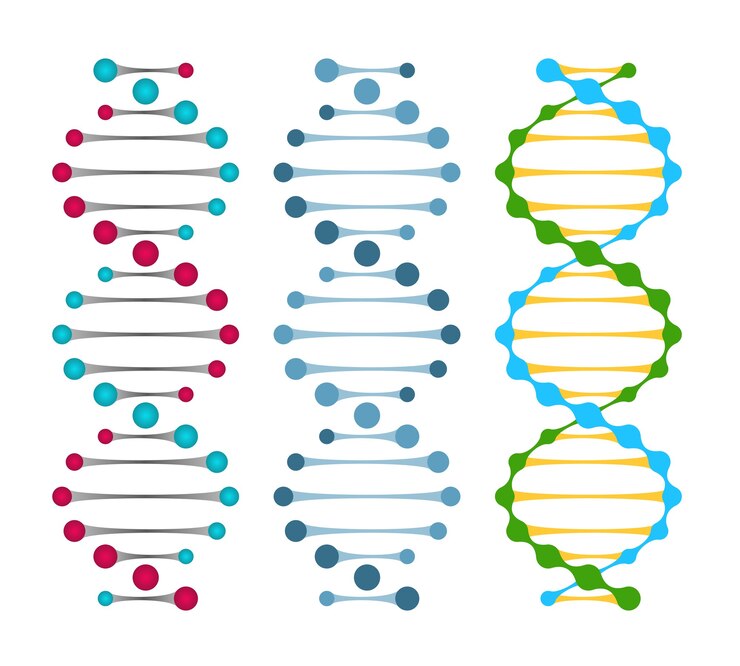 Applications of Nucleic Acids in Studying Genealogies and Genetic lineages